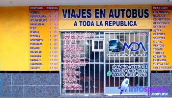 Acn Zaragoza Autobuses Coordinados de Nayarit Sucursal Zaragoza - 4 Árboles