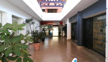 Ag Consultores - Mazatlán