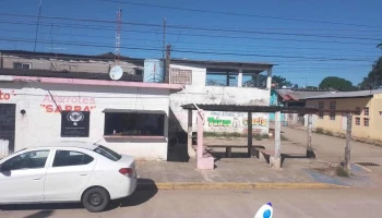 Astapa jalapa - Tab
