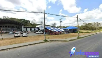 Autobuses Conexión Túxpam - 5 De Julio