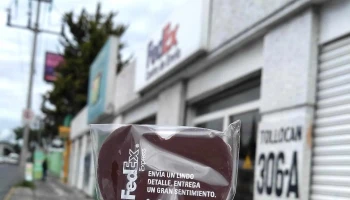 Centro de Envío FedEx - Toluca De Lerdo