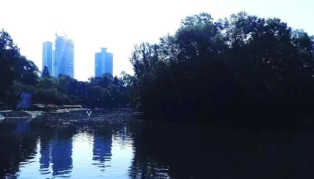 Chapultepec - Ciudad De México