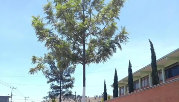 Conjunto urbano La Loma 1 lomas del valle 40a - Conjunto Urbano La Loma I