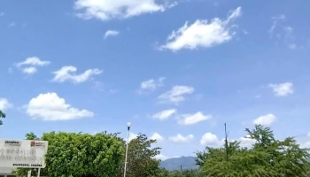 Dr Domingo Chanona - Villaflores