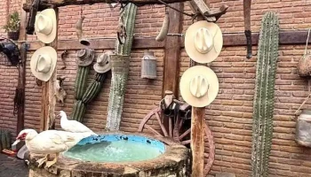 El Aureliano de La Noria - La Noria De San Antonio