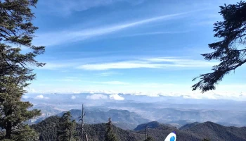 El Pinal Del Zamorano - Qro