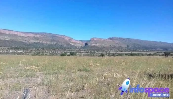 El Tule - El Tule