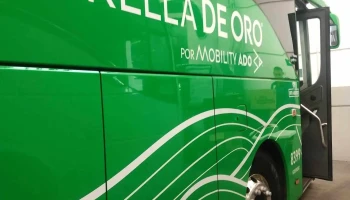 Estrella de oro fans - Las Palmas