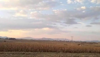 Guadalupe Cachi - Guadalupe Cachi