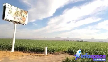 Ínterbus de Sinaloa - Autobuses Los Mochis - Los Mochis