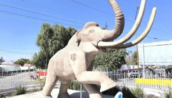 Mamut Santa Isabel Ixtapan - Santa Isabel Ixtapan