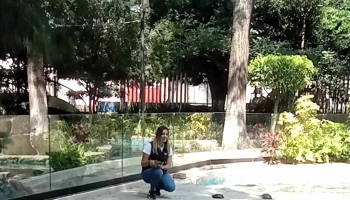 Metro morelos - Venustiano Carranza, Ciudad De México