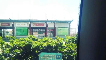 Palomas - Ecatepec De Morelos