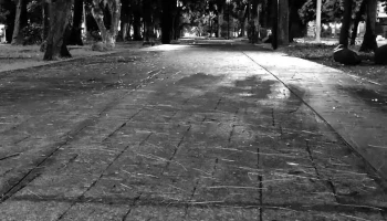 Parada Trv y Au (Ordinario Xalapa) - Salvador Díaz Mirón
