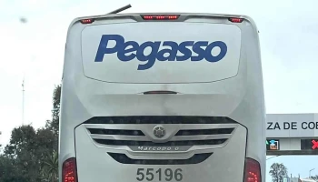 Pegasso - Terminal De Autobuses