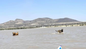 Presa Ceja de Bravo - Qro