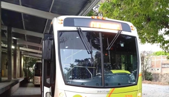 Pullman de Morelos Coatlán del Río - Coatlán Del Río