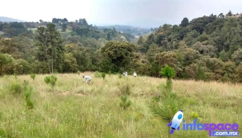 San Agustín Mimbres - San Agustín Mimbres