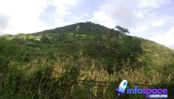 San Martín, Municipio De Quechultenango - Gro
