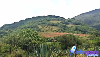 San Vicente Coatlán - San Vicente Coatlán