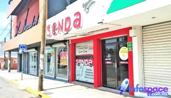 Senda - Del Bosque