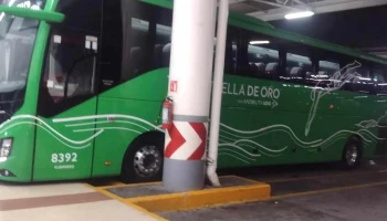 Terminal Ado Estrella de Oro Cuernavaca - Cuernavaca