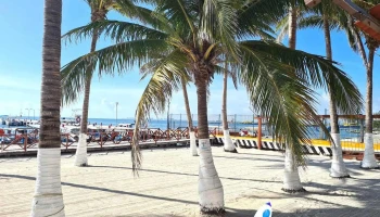 Terminal Maritima Puerto Juárez - Naval