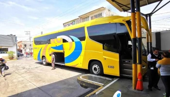 Terminal Oro - Cuautla