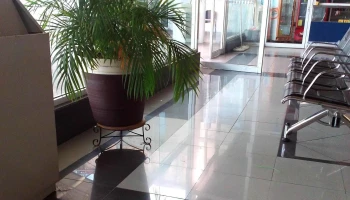 Terminal Tap - Hermosillo