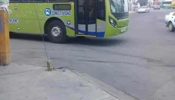 Tuesa Ruta 223 - Los Reyes