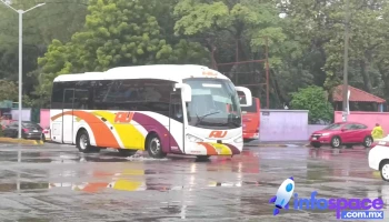 Veracruz Central Bus Station - 91700 Veracruz