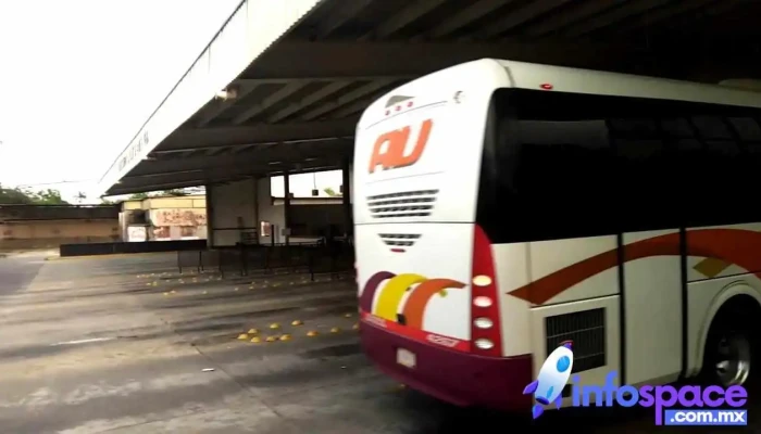 Ado Au Trv Santa Cruz -  Videos - Santa Cruz