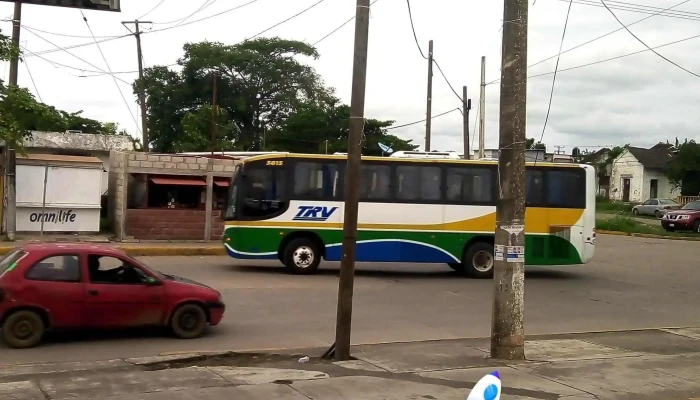 Ado Carlos A. Carrillo - Los Pinos
