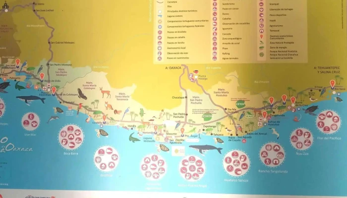 Ado Huatulco -  Opiniones - Crucecita