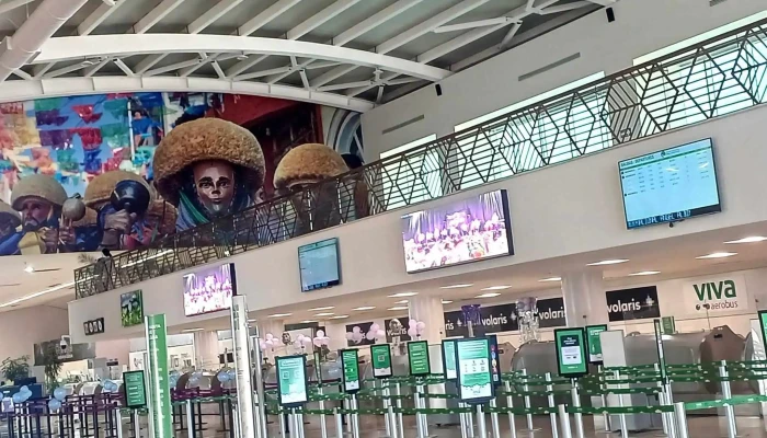 Aeropuerto Internacional Angel Albino Corzo Videos - Francisco Sarabia