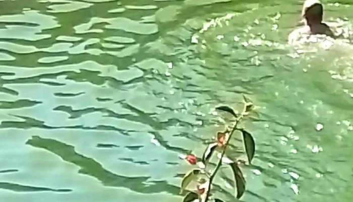 Aguas Termales De Etucuaro -  Videos - Francisco I. Madero