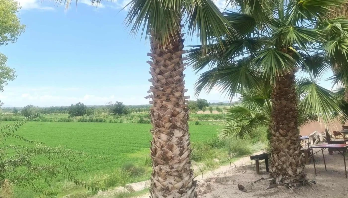Aguas Termales Los Manantiales -  Zona - Julimes