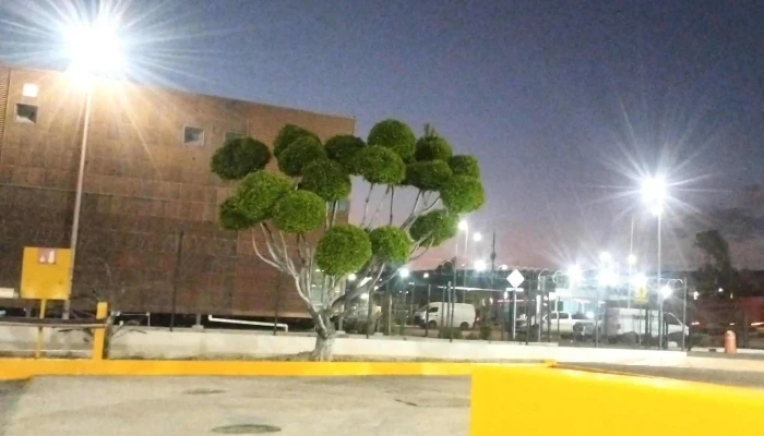 Apolo Platinum -  Descuentos - Santiago de Querétaro