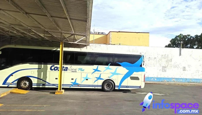 Autobuses Elite Estrella Blanca Barcelona Bus Turistic - Cuernavaca