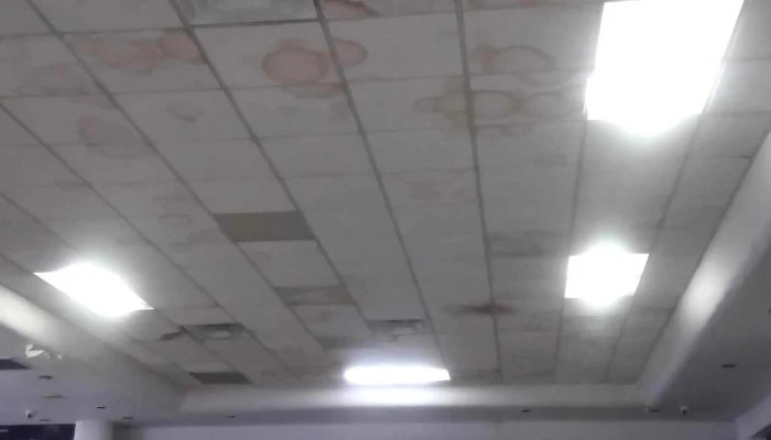 Autobuses Elite Los Mochis -  Videos - Los Mochis