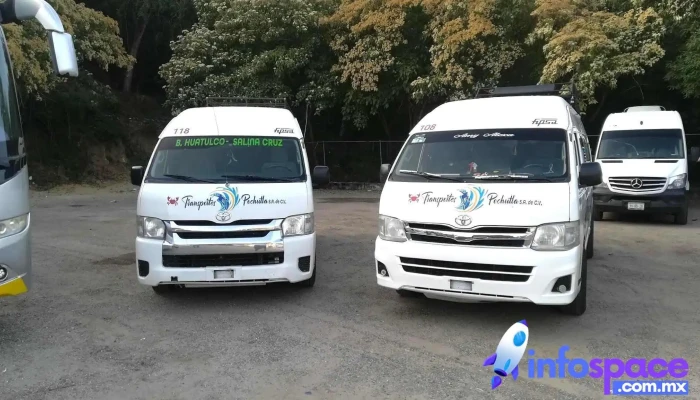 Autobuses Estrella Blanca -  Automovil - Crucecita