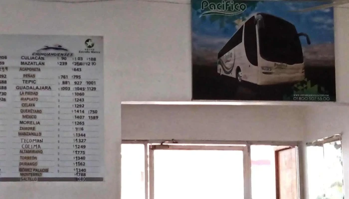 Autobuses Estrella Blanca -  Fotos - Guamúchil