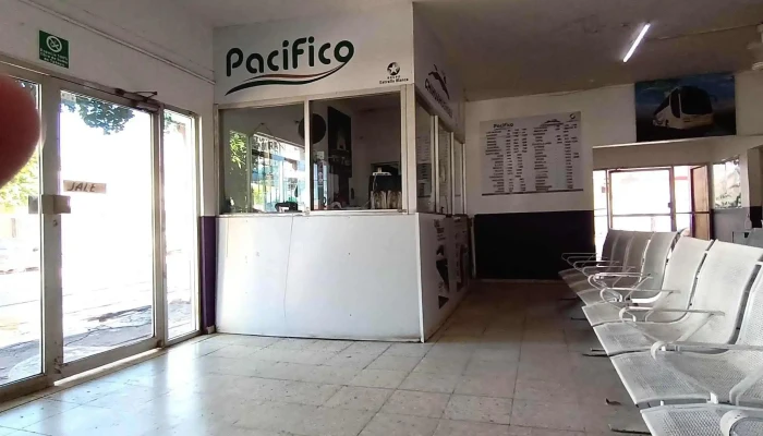 Autobuses Estrella Blanca -  Instagram - Guamúchil