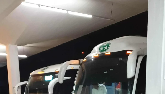Autobuses Estrella Blanca Mazatlan Catalogo - Mazatlán