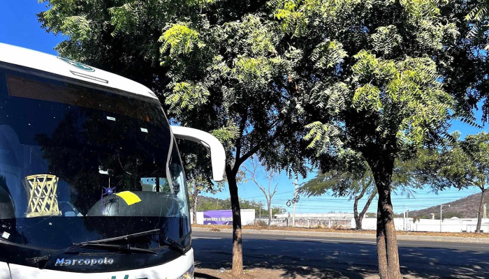 Autobuses Estrella Blanca Mazatlan Fotos - Mazatlán