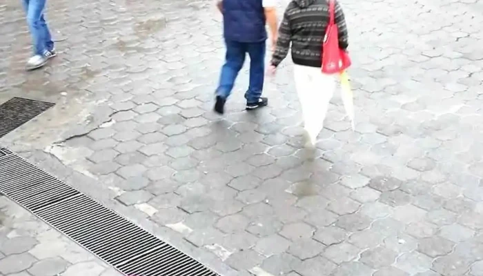 Autobuses Etn Turistar En Terminal Observatorio Cdmx Videos - Álvaro Obregón, Ciudad de México