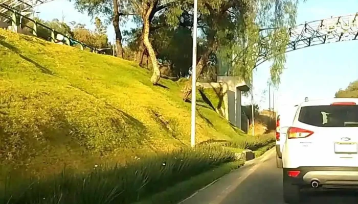 Autobuses Futura Indios Verdes -  Videos - Gustavo A. Madero, Ciudad de México