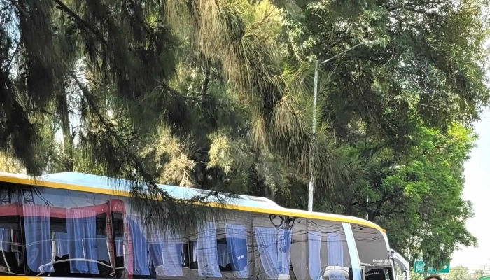 Autobuses Odt Potrero -  Telefono - Gustavo A. Madero, Ciudad de México