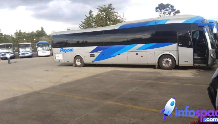 Autobuses Pegasso -  Instagram - San Felipe del Progreso
