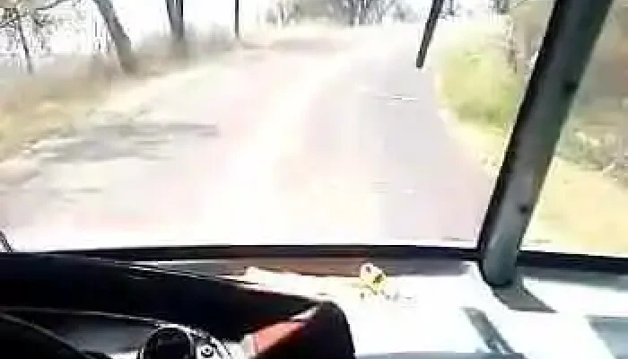Autobuses Rapidos Monte Alto Sa De Cv Videos - Cdad. Nicolás Romero